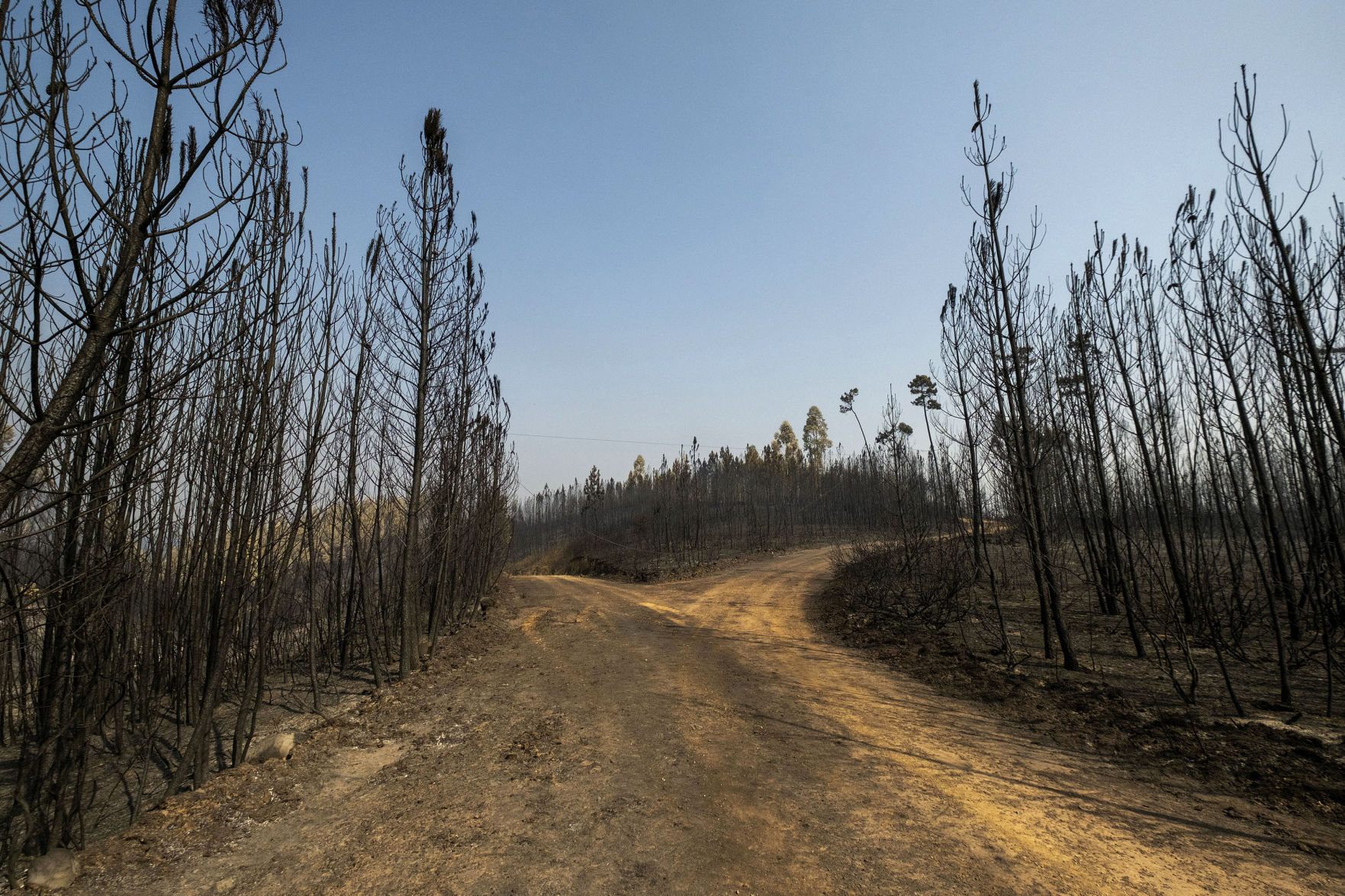 Portugal Wildfires